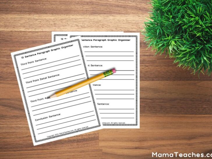 Free 12 Sentence Paragraph Graphic Organizer