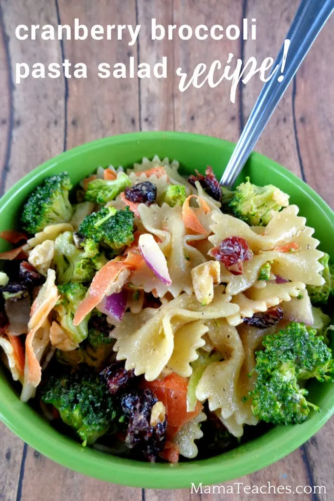 Cranberry Broccoli Pasta Salad Recipe Made Easy