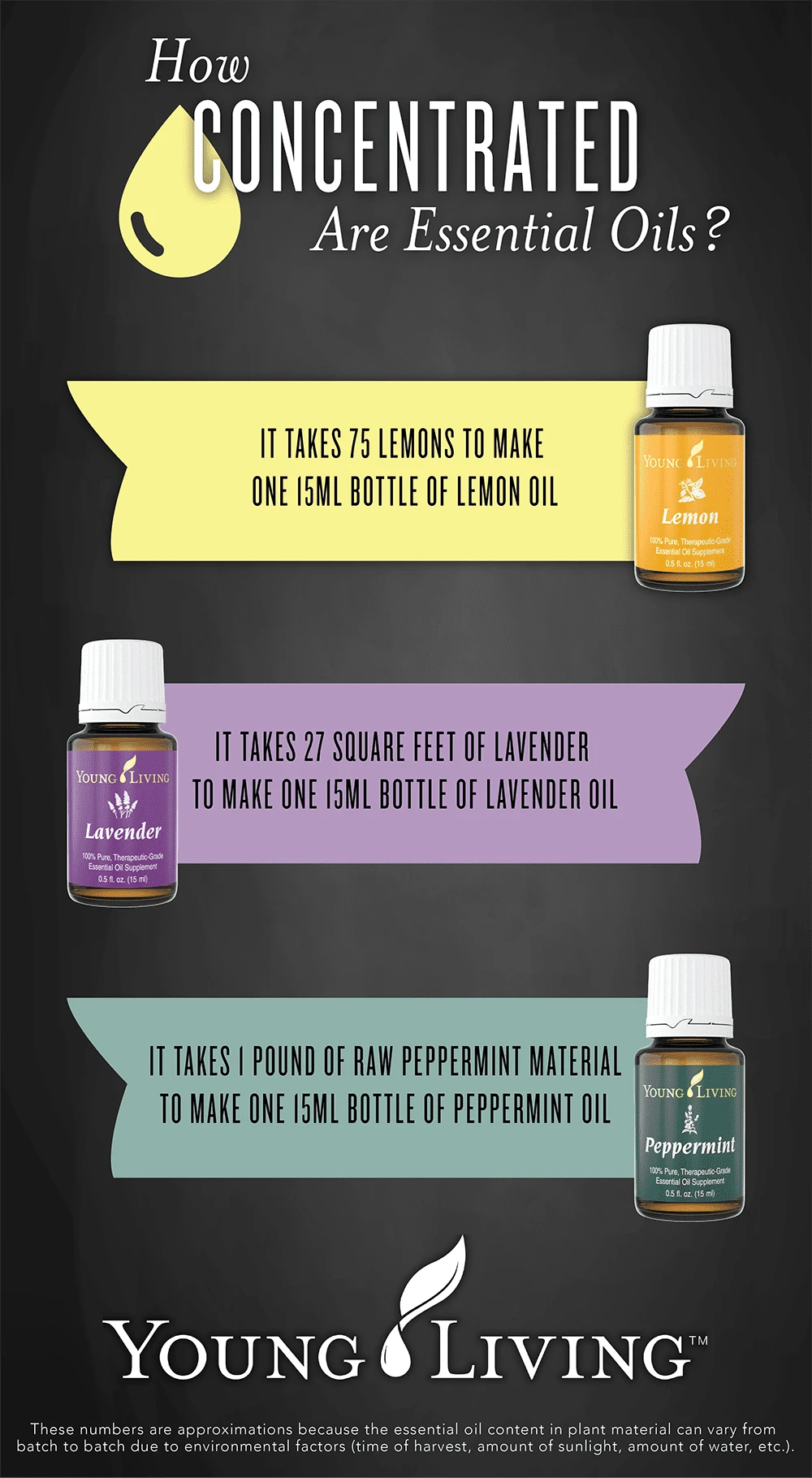 Essential Oils are Concentrated