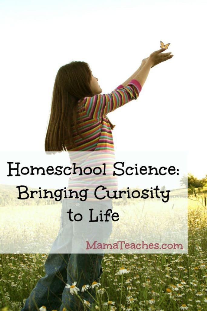 Homeschool Science: Bringing Curiosity to Life