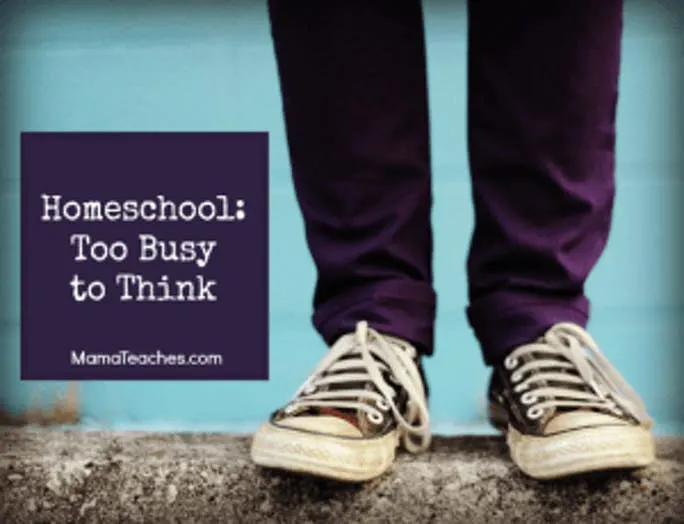Homeschooling- Too Busy to Think