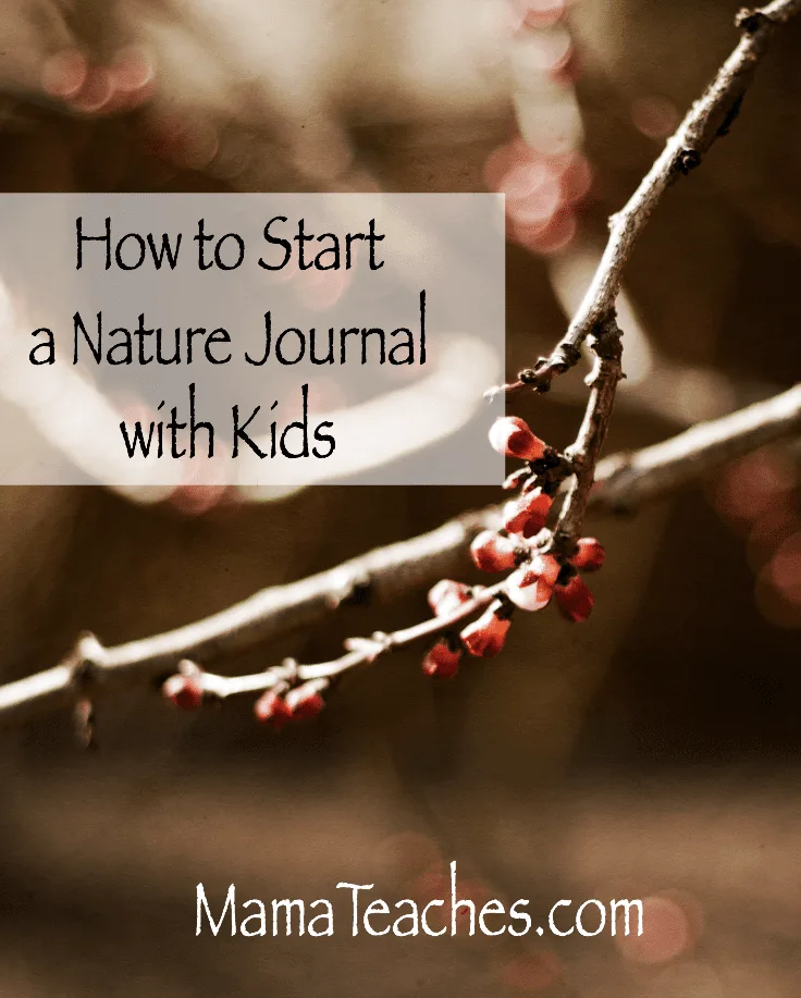 How to Start a Nature Journal with Kids