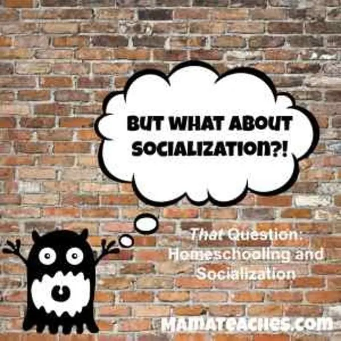 That Question- Socialization and Homeschooling