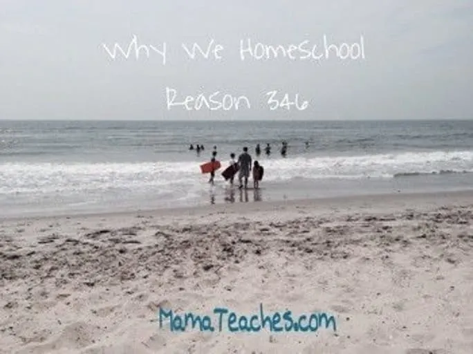 Why We Homeschool: Reason 346