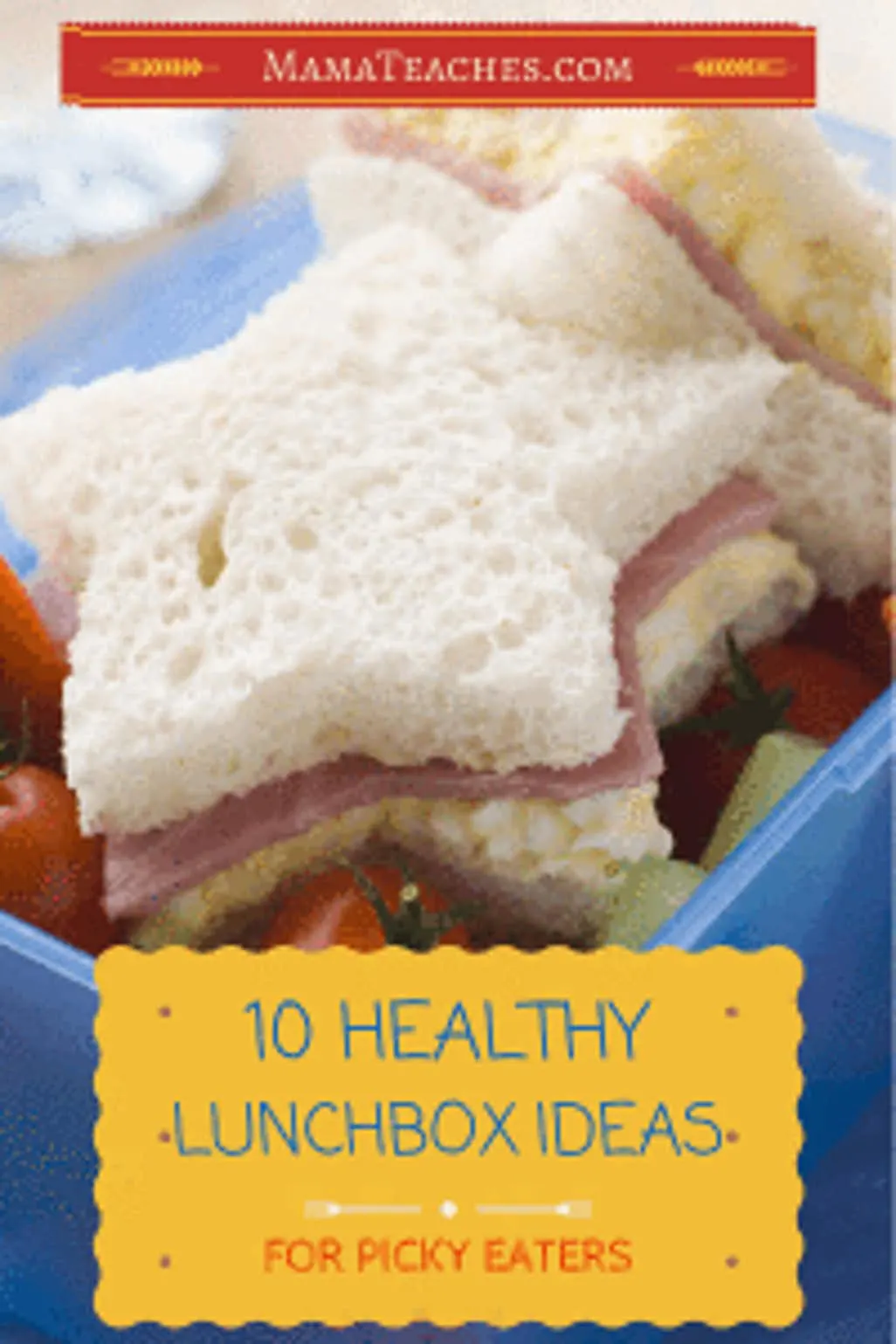10 Healthy Lunchbox Ideas for Picky Eaters