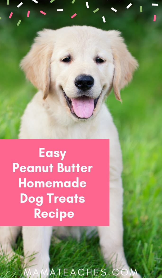 Easy Homemade Dog Treats Recipe