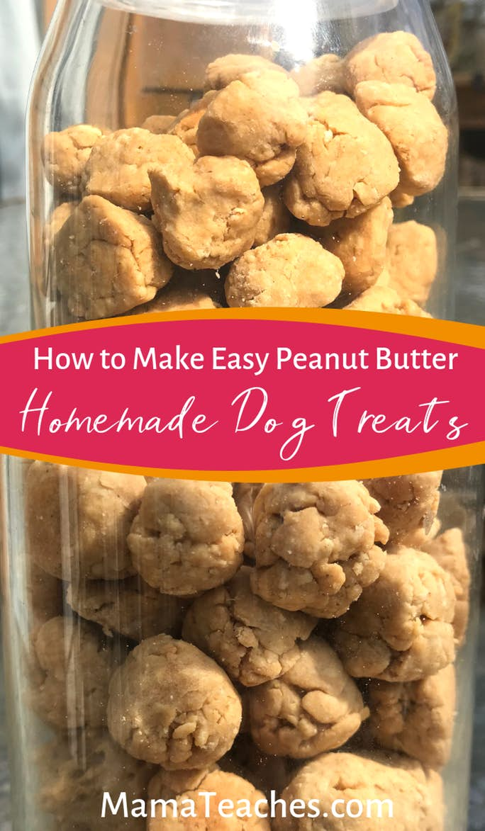 Easy Homemade Dog Treats Recipe