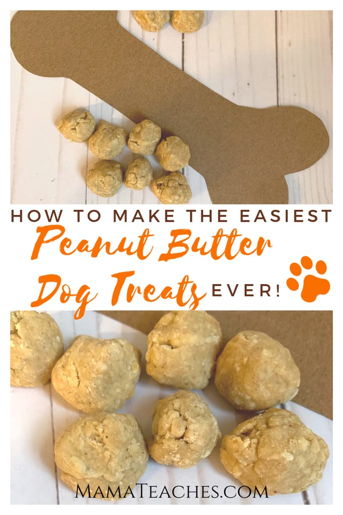 Easy Homemade Dog Treats Recipe