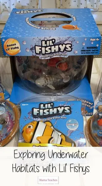 Explore Underwater Habitats with Swimming Fish Toys