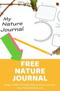 How to Start a Nature Journal with Kids - Mama Teaches