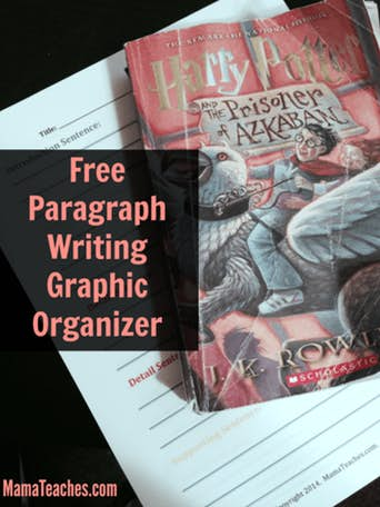 Freebie Friday: 12 Sentence Paragraph Graphic Organizer