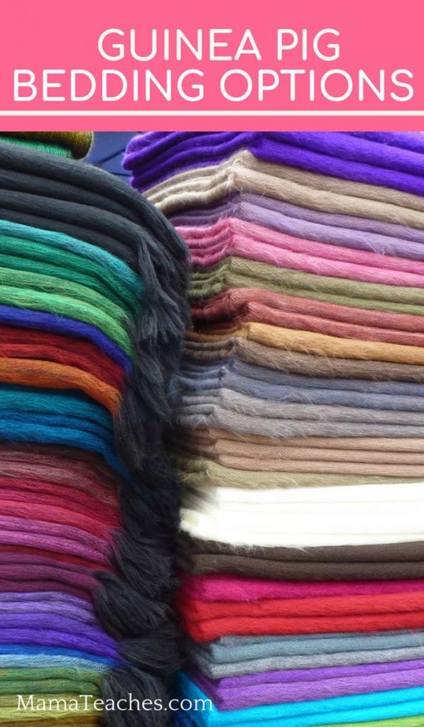 Guinea Pig Bedding Options - Mama Teaches