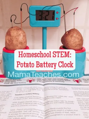 STEM Experiment: make a Potato Clock