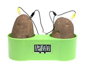 Homeschool STEM Time! Make an Easy Potato Clock