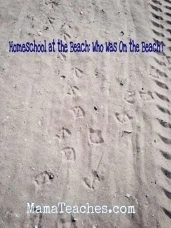 Homeschool at the Beach: Identifying Animal Tracks