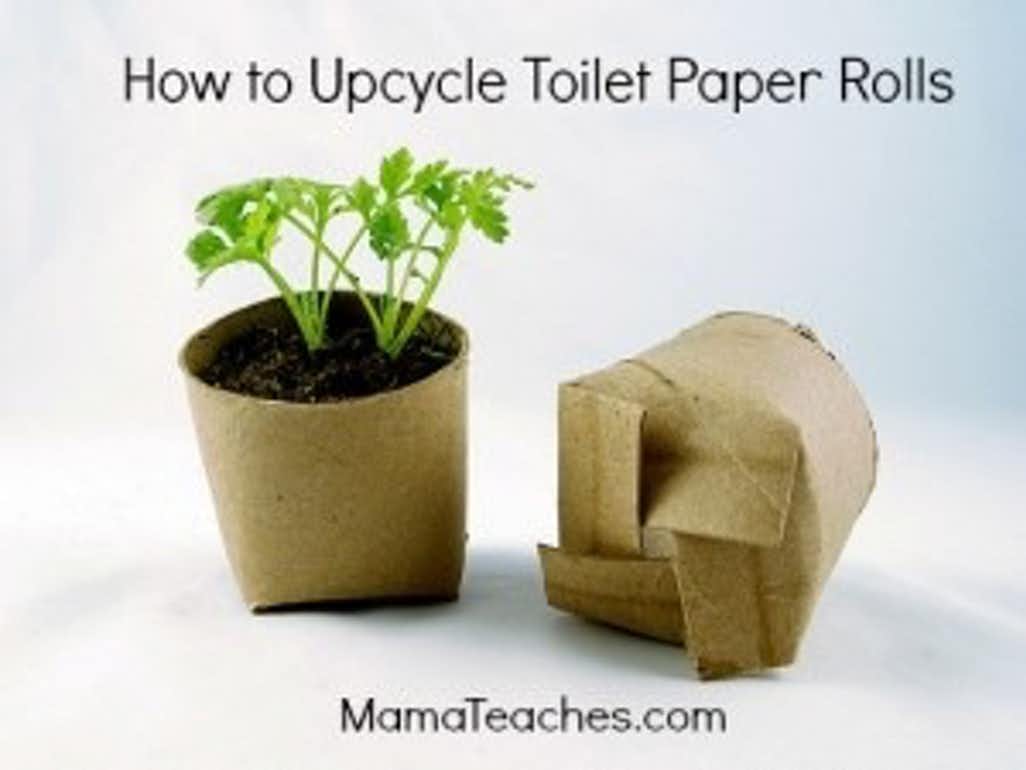 How To Upcycle Toilet Paper Rolls