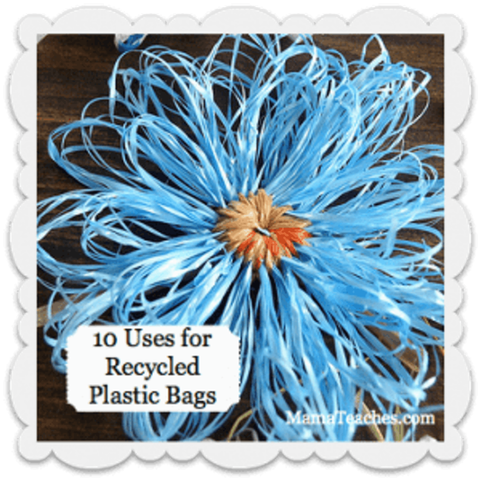 How to Recycle and Reuse Plastic Grocery Bags Mama Teaches