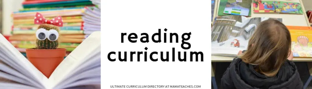 Reading Curriculum