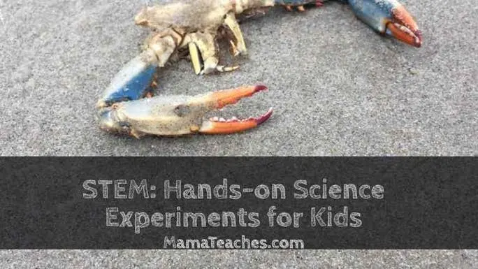 STEM for Kids - 10 Hands-On Science Experiments