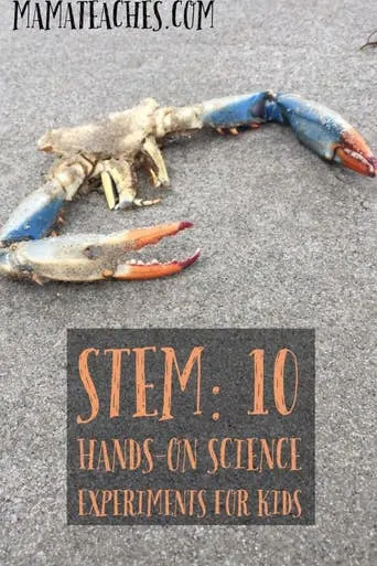 STEM for Kids: 10 Hands-On Science Experiments