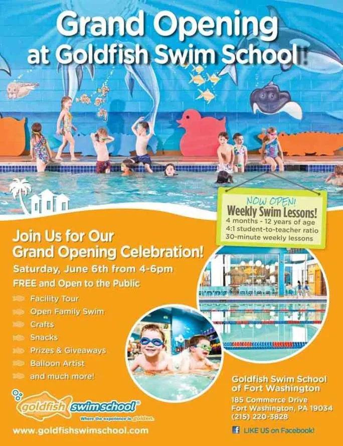 Swimming Like a Fish at Goldfish Swim School