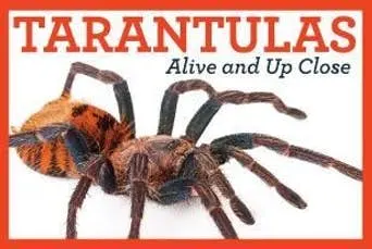 Tarantula Unit Study