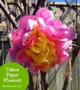 Tissue Paper Flowers Craft for Kids - Mama Teaches