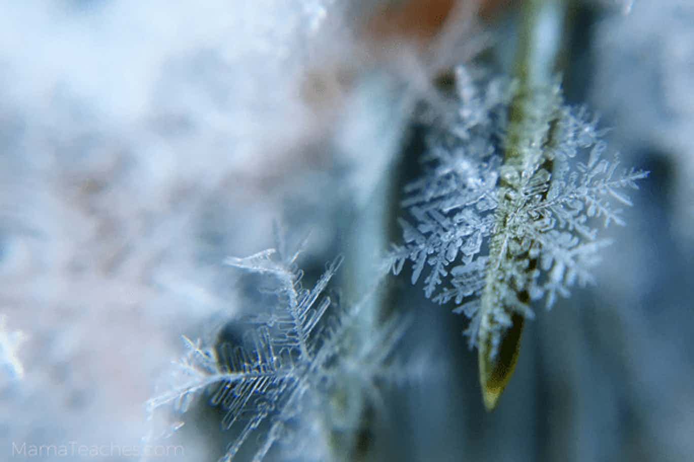 Frozen Snowflake Templates