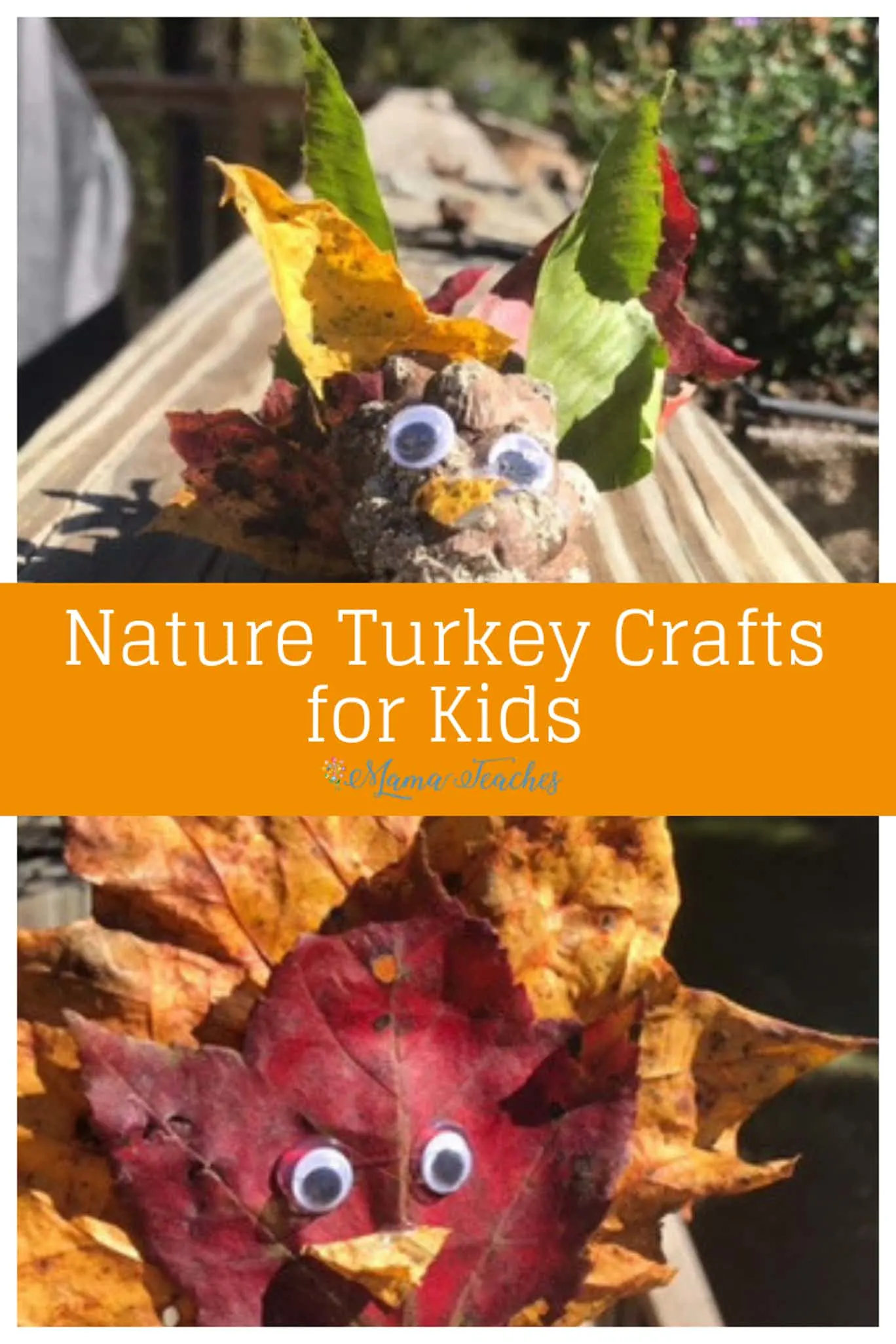 Turkey Crafts for Kids