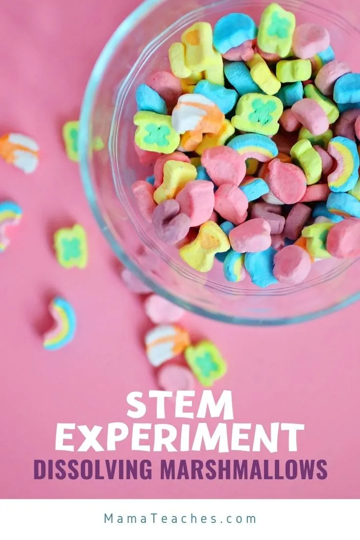 STEM Experiments for Kids - Dissolving Marshmallows Science Experiment from MamaTeaches.com