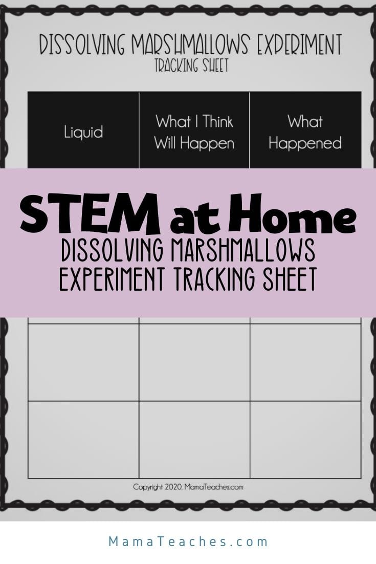 STEM Experiments Dissolving Marshmallows Mama Teaches