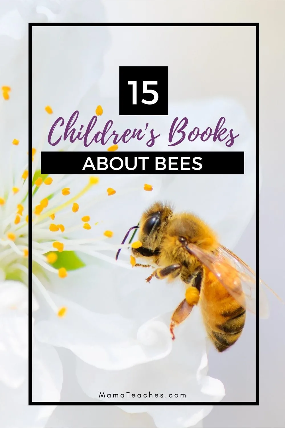 15 Fun Childrens Books About Bees to Read This Summer- MamaTeaches.com