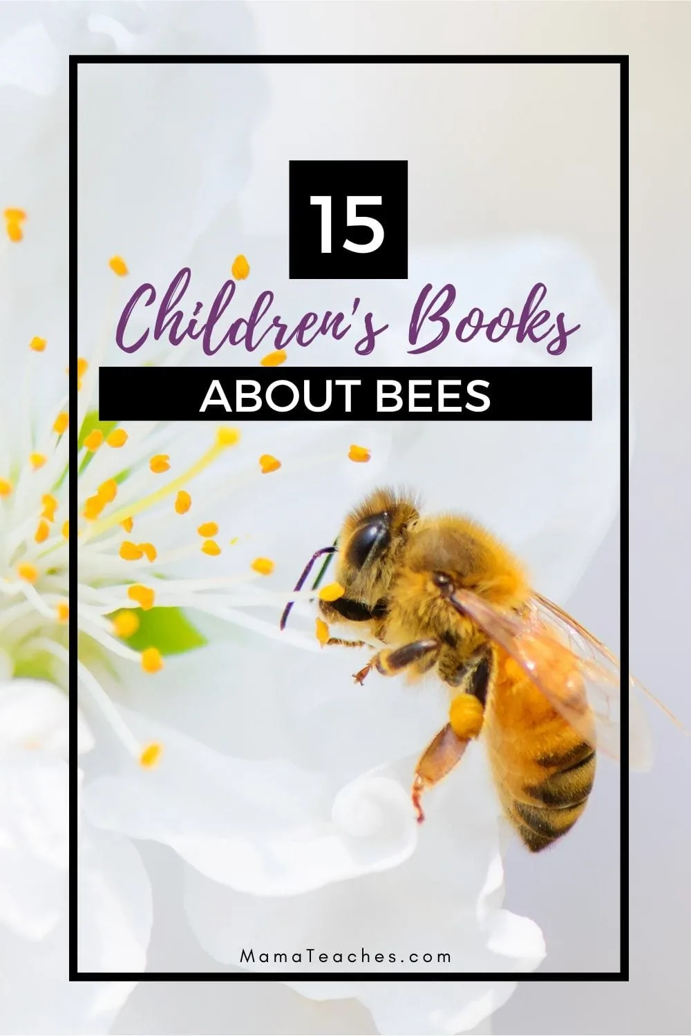 Picture Books about Bees