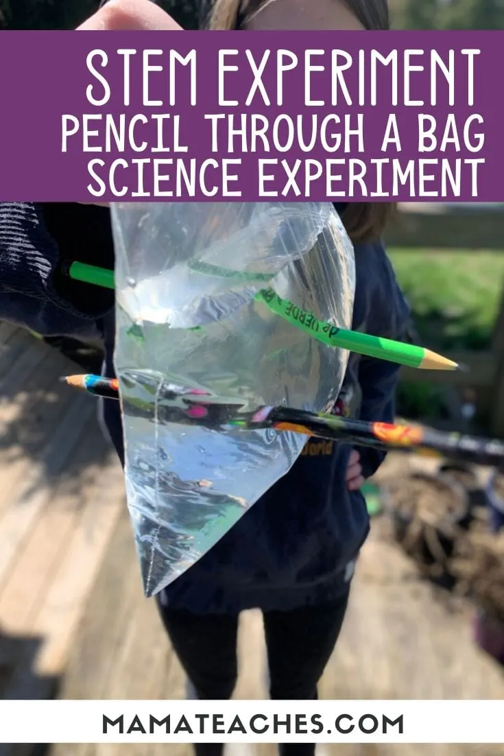 STEM EXPERIMENT - Pencil Through a Bag Science Experiment - MamaTeaches.com