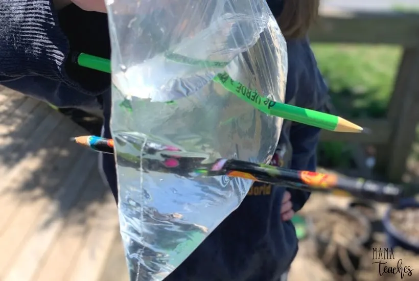 STEM Experiment Pencil Through Bag Magic Trick - MamaTeaches