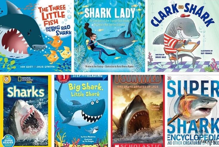 17 Super Awesome Shark Books for Kids - Mama Teaches