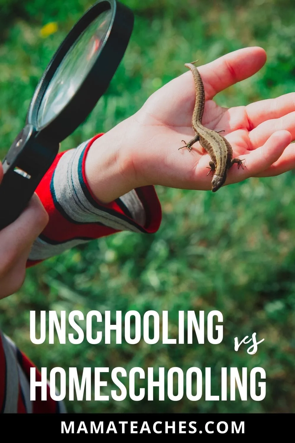 What's the Difference Between Unschooling and Homeschooling?