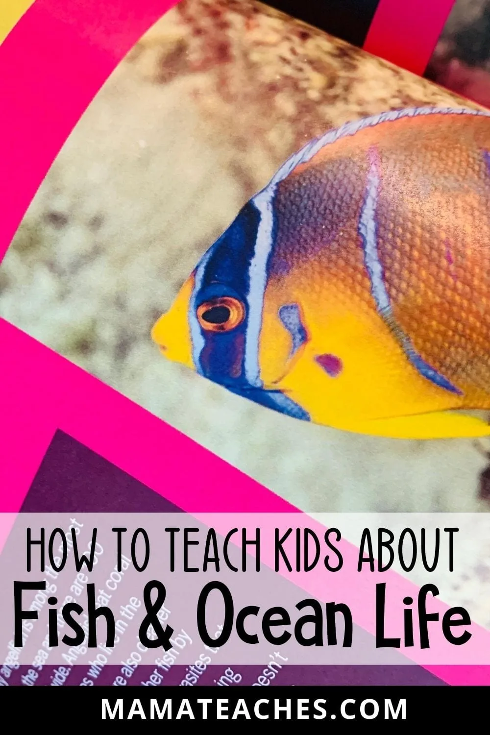 How to Teach Kids About Fish and Ocean Life - MamaTeaches.com
