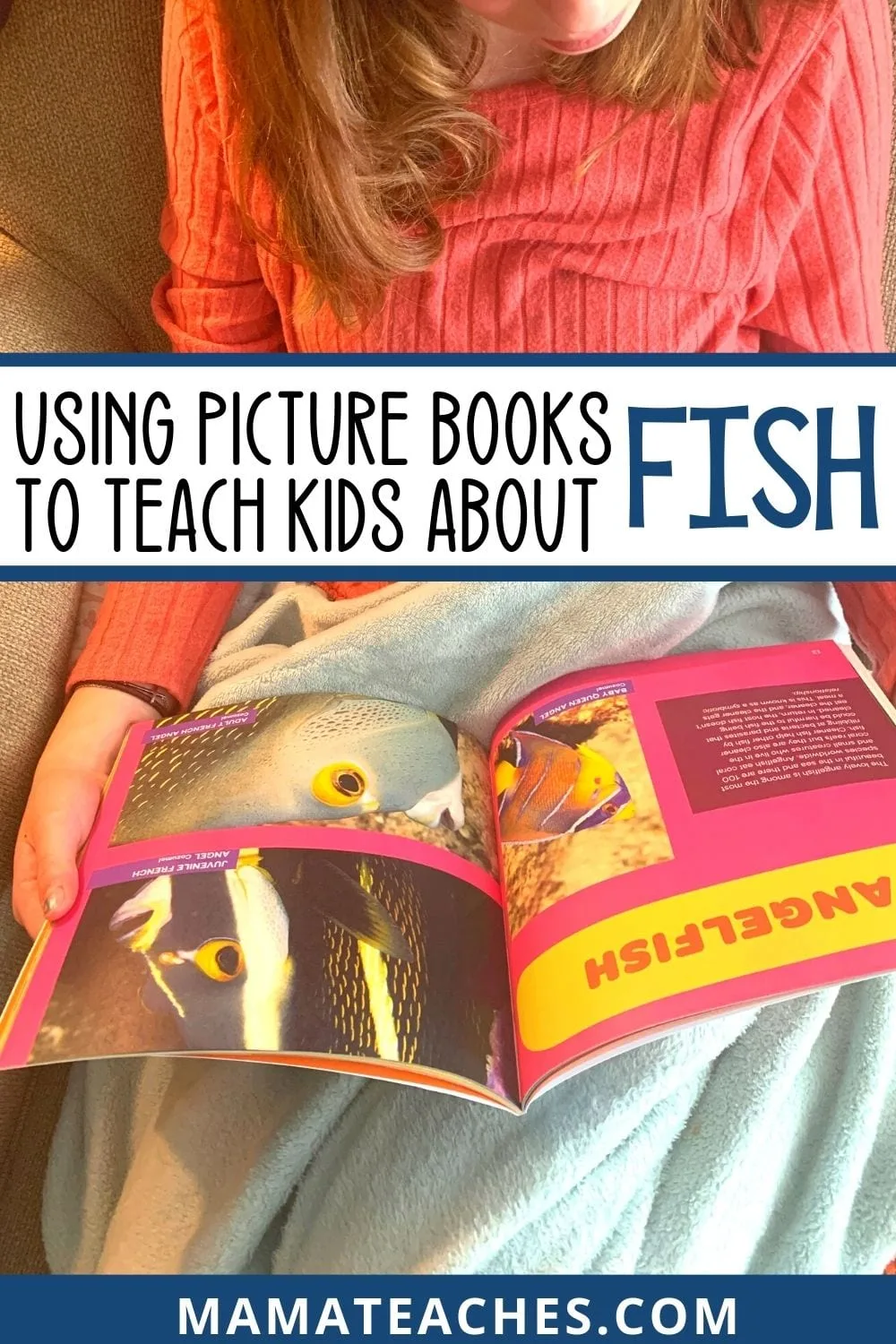Using Picture Books to Teach Kids About Fish and Ocean Life - MamaTeaches.com