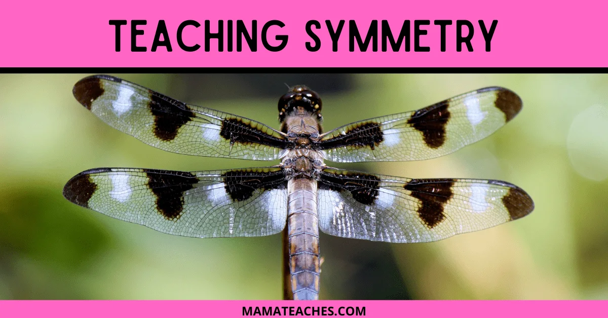 Teaching Symmetry