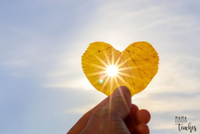 Person Holding Up a Heart Shaped Leaf