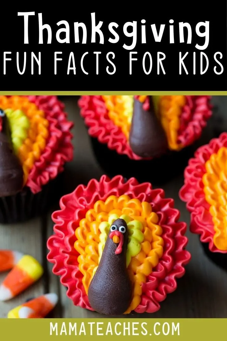 Super Fun Thanksgiving Facts for Kids