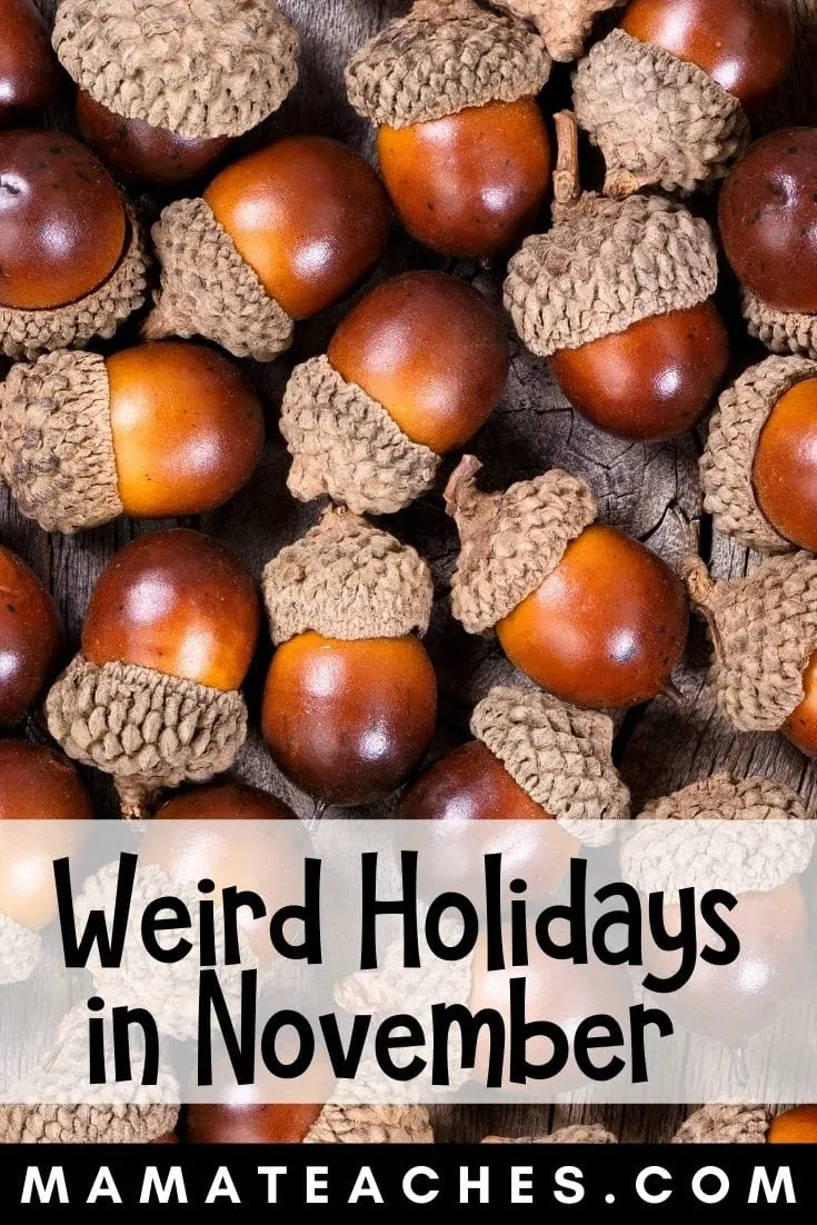 Weird Holidays in November for Kids