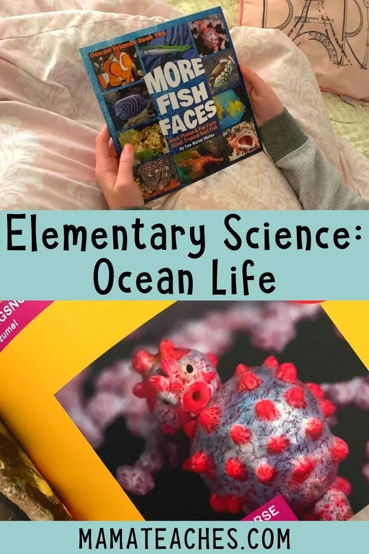 Elementary Science - Ocean Life Book