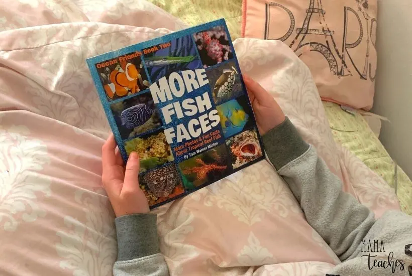 More Fish Faces book by Tam Warner Minton