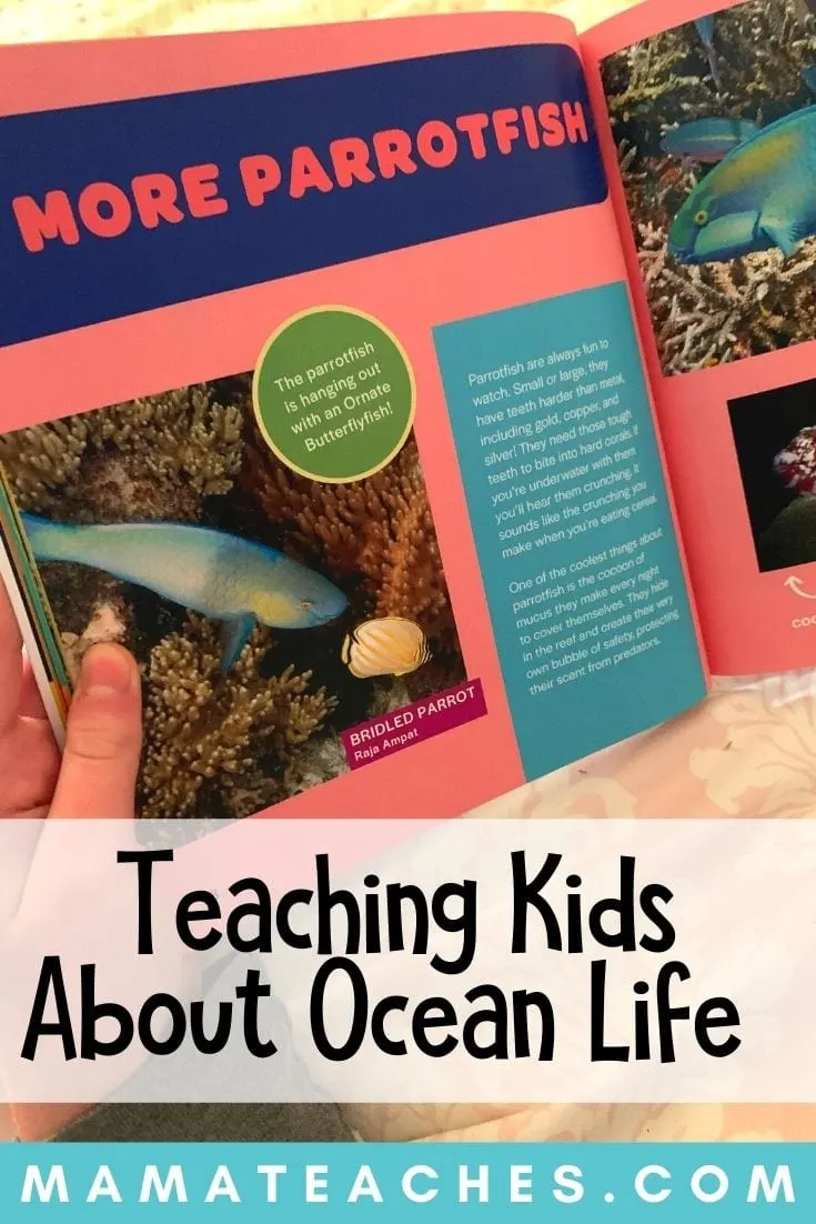 Teaching Kids About Ocean Life