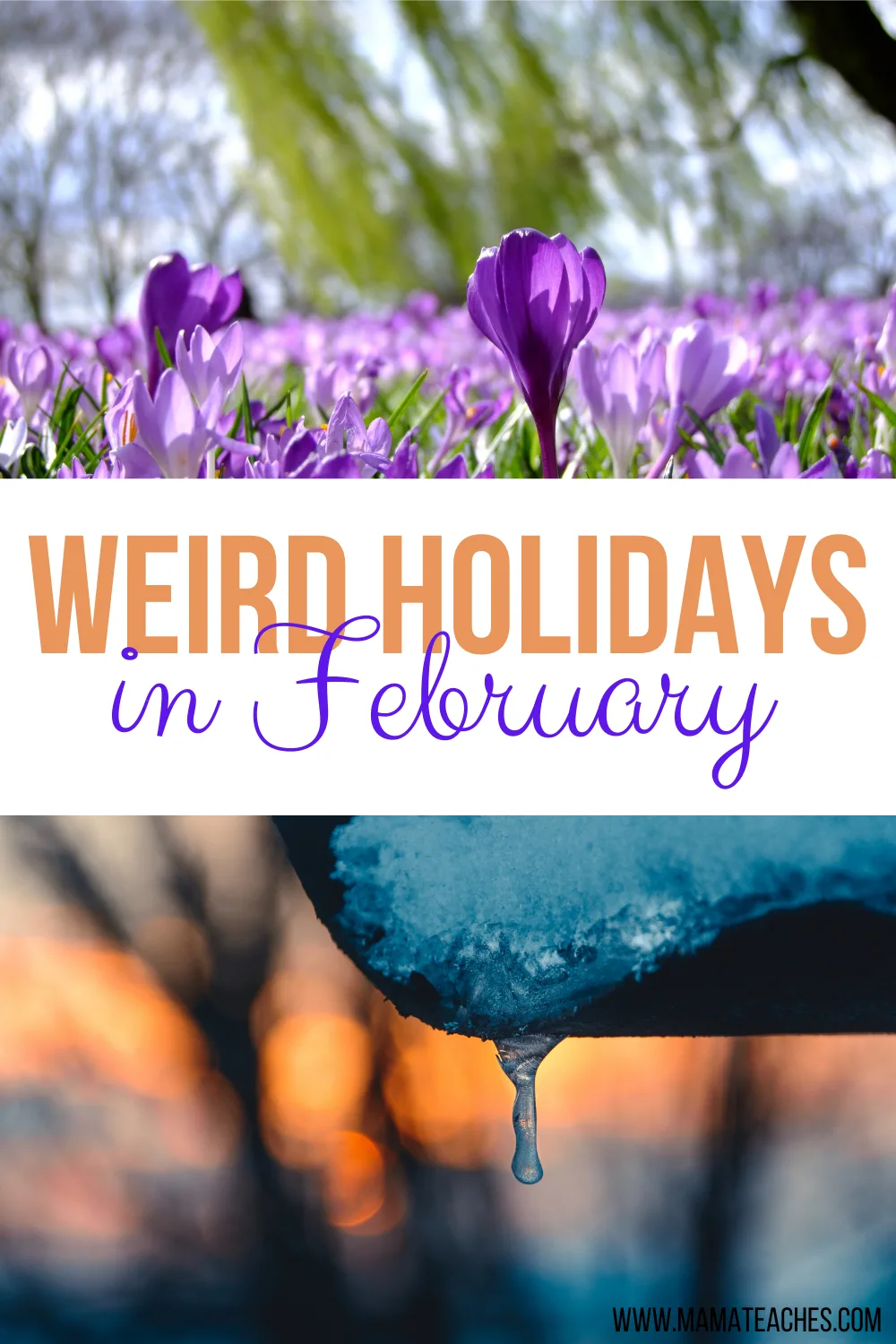 Weird Holidays In February