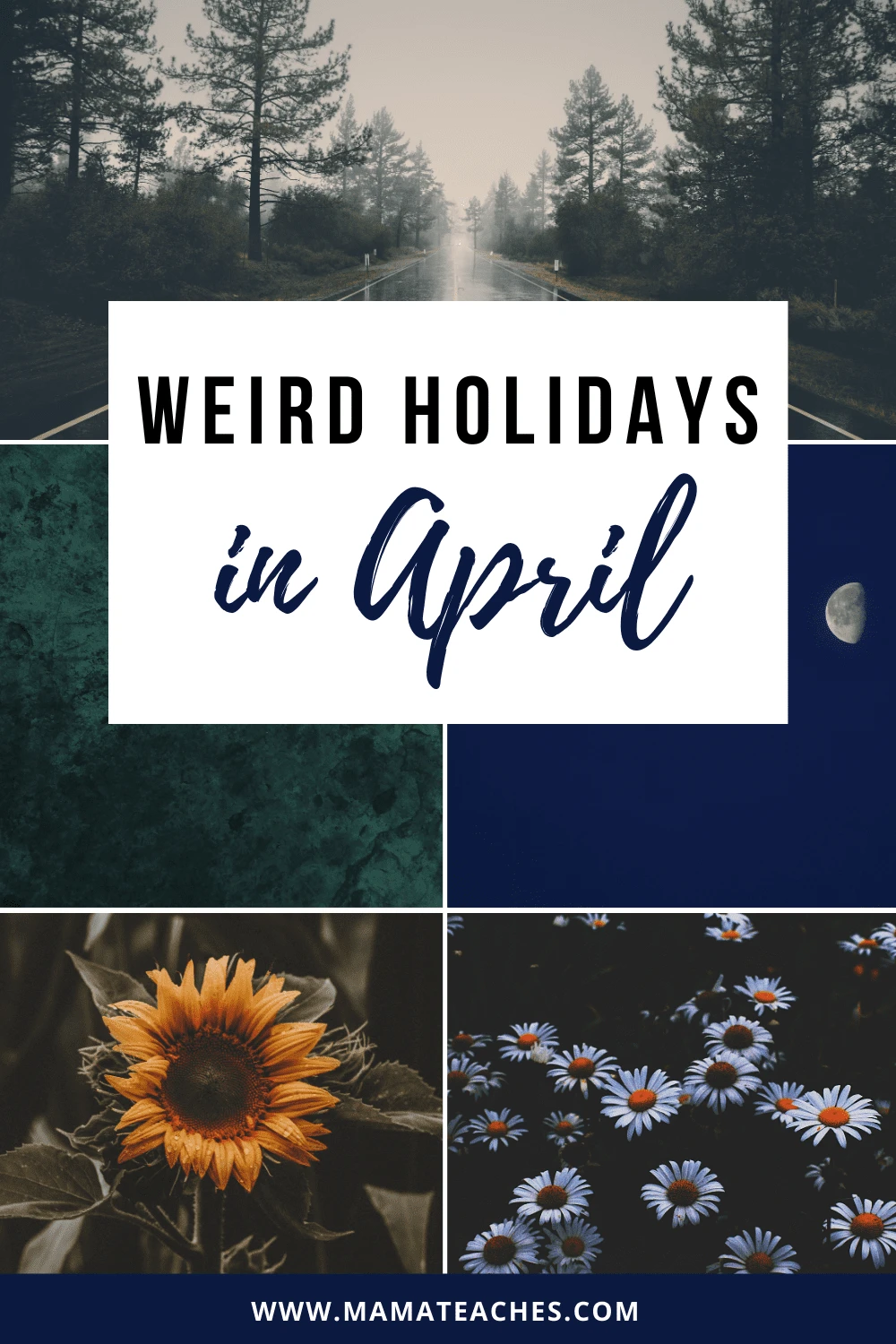 Weird Holidays in April