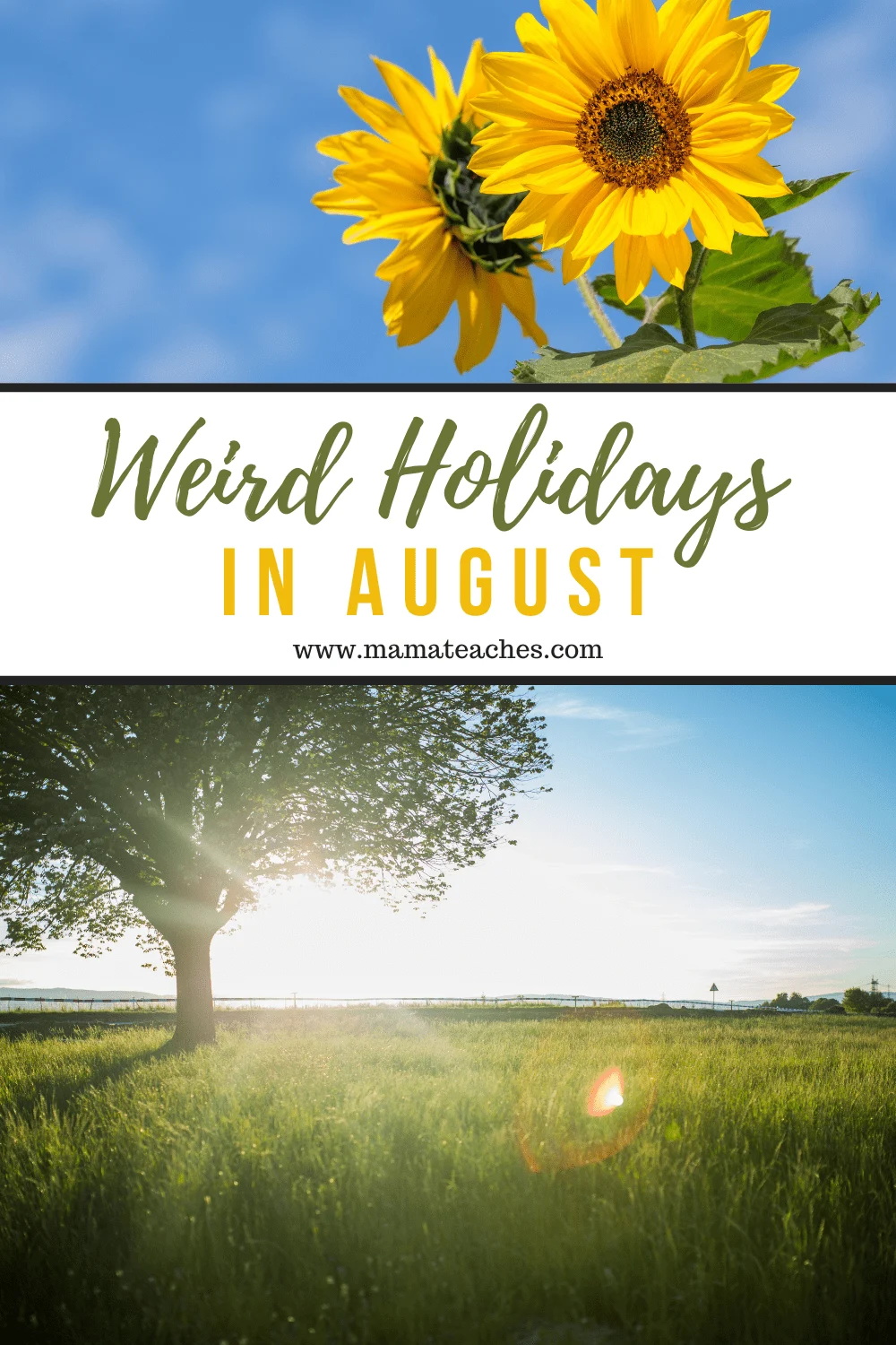 Weird Holidays in August