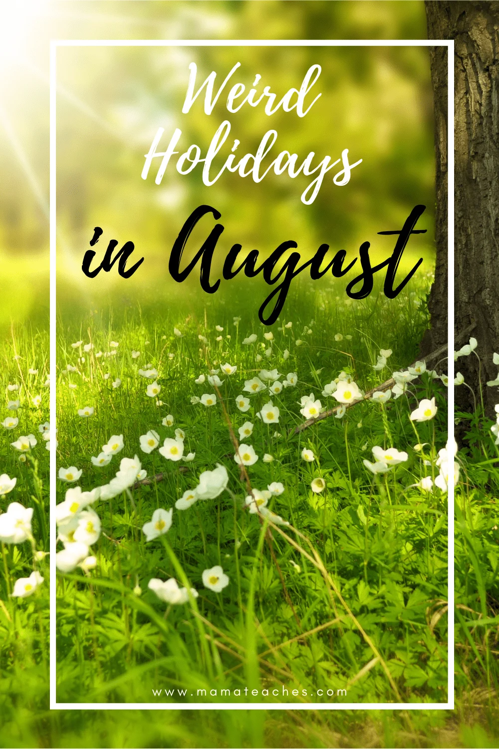 Unusual and Weird Holidays in August - Mama Teaches